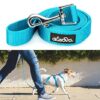 Alesava Dog Leash