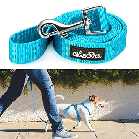 Alesava Dog Leash