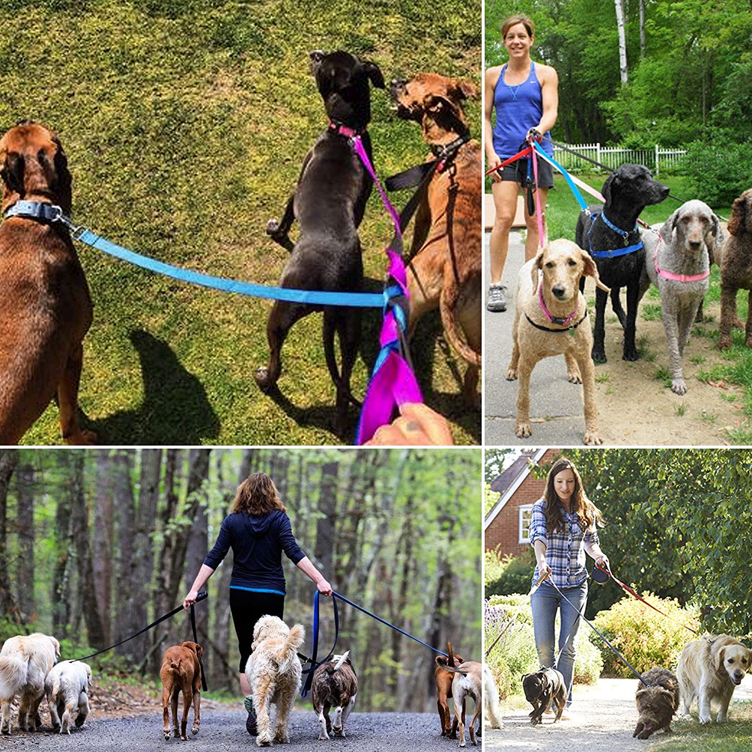 Alesava Dog Leash