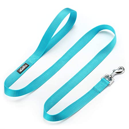 alesava dog leash