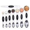 Spring Chef magnetic measuring spoons