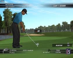 Tiger Woods PGA Tour 2004
