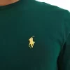 Polo Ralph Lauren Icon T-Shirt