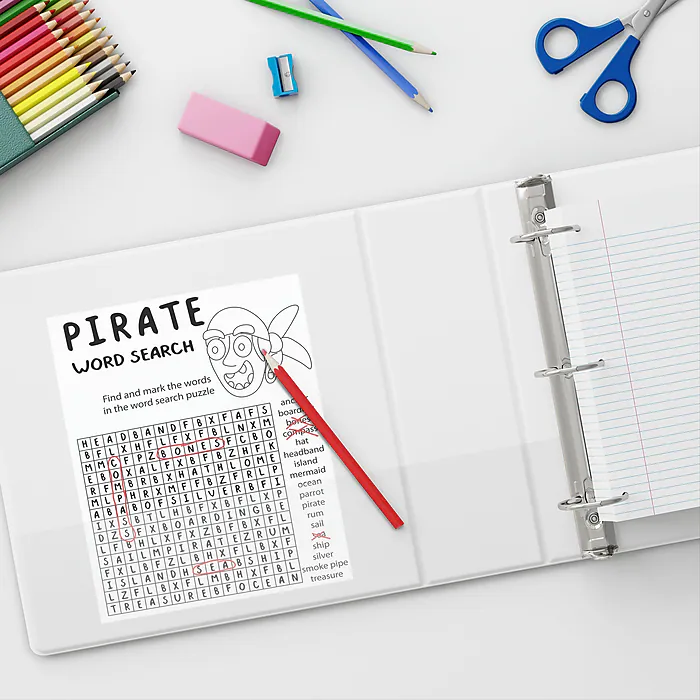 binder6 Staples 2" 3-Ring View Binder