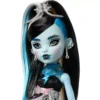 fran3 Monster High Scary Sweet Birthday Frankie Stein Doll