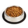 Screenshot_2-5-2026_204030_www.petco.com EveryYay Stainless Steel No-Tip Cat Bowl | 1 Cup
