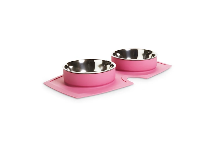 EveryYay Silicone Double Diner Dog Bowl Set
