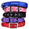 09d87631-4ef7-4d24-ae68-37223c5707ed.b851cec8f0e834b17fc37b5f16aac944 Downtown Pet Supply Dog Collar | Medium