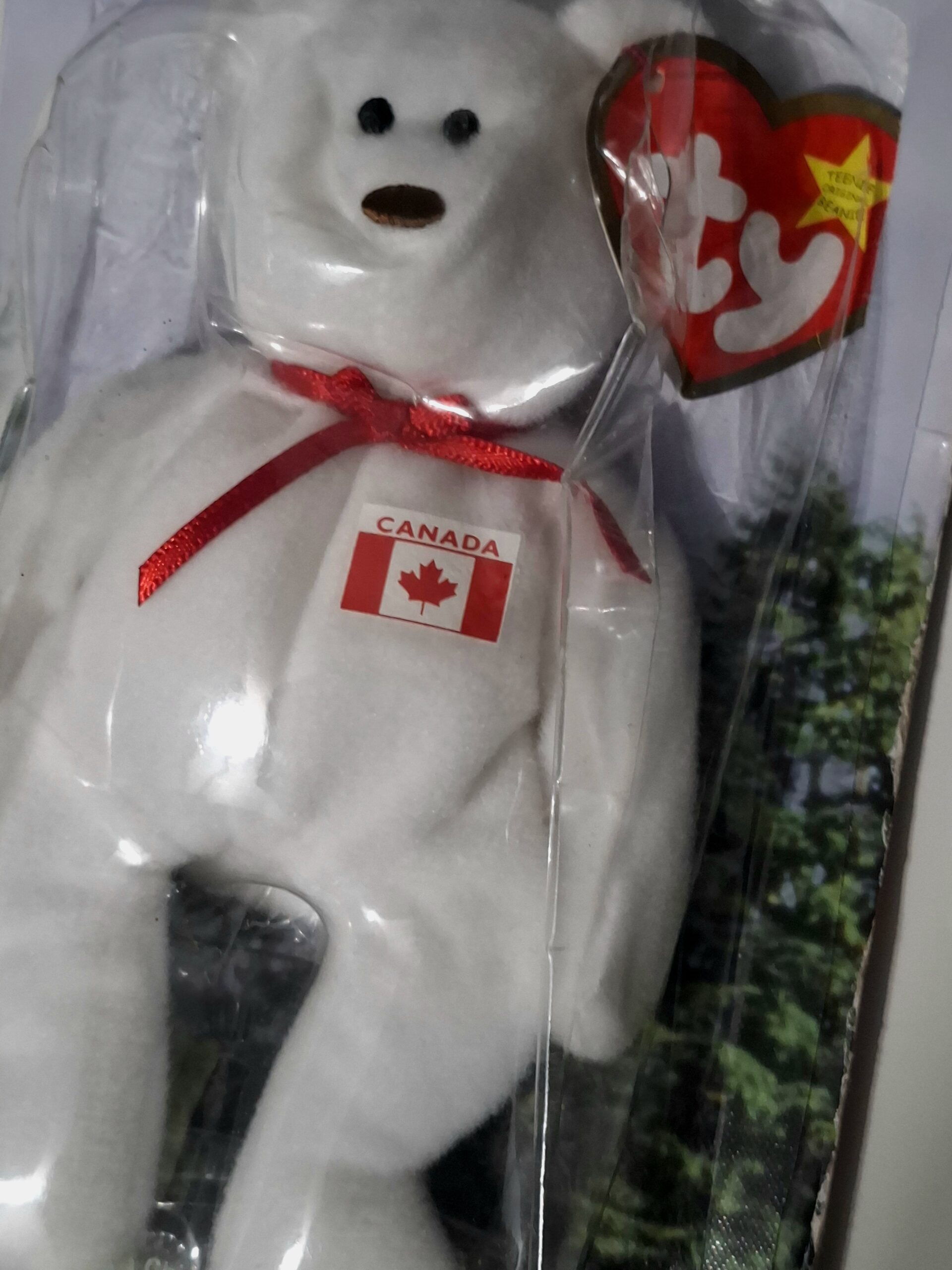 TY Beanie Baby Maple The Bear | Canada Exclusive 1996 MWMT