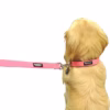 3fc97ba4-f5a5-4d1a-a442-2ffb320188d7.7a71e87bd6607ea4e3a4b2791a2f1f3c Downtown Pet Supply Dog Collar | Medium