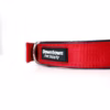 67a42a0c-ddef-409f-88e9-92d421604c9a.33656798e104ca7bdd45c236b003f46a Downtown Pet Supply Dog Collar | Medium