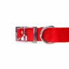 aa1cb14a-00f4-458d-b3e8-a36c434a0294.4191567613b4039ef6260484d4137c5e Downtown Pet Supply Dog Collar | Medium