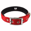 dog Downtown Pet Supply Dog Collar