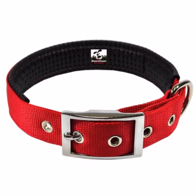 dog Downtown Pet Supply Dog Collar